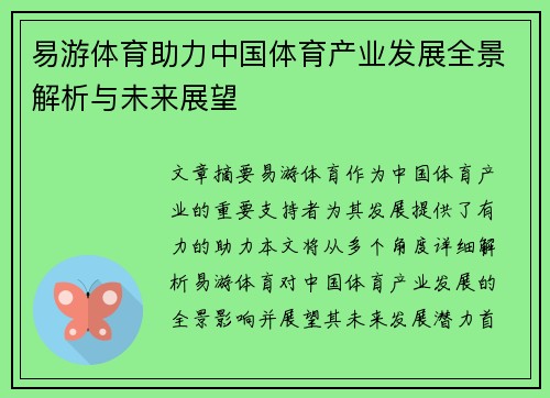 易游体育助力中国体育产业发展全景解析与未来展望